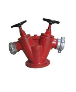 Đầu trụ chữa cháy 2 cửa D65